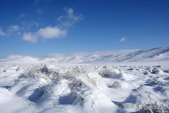 【内蒙古】塔娜：雪落草原，岁暖大雪