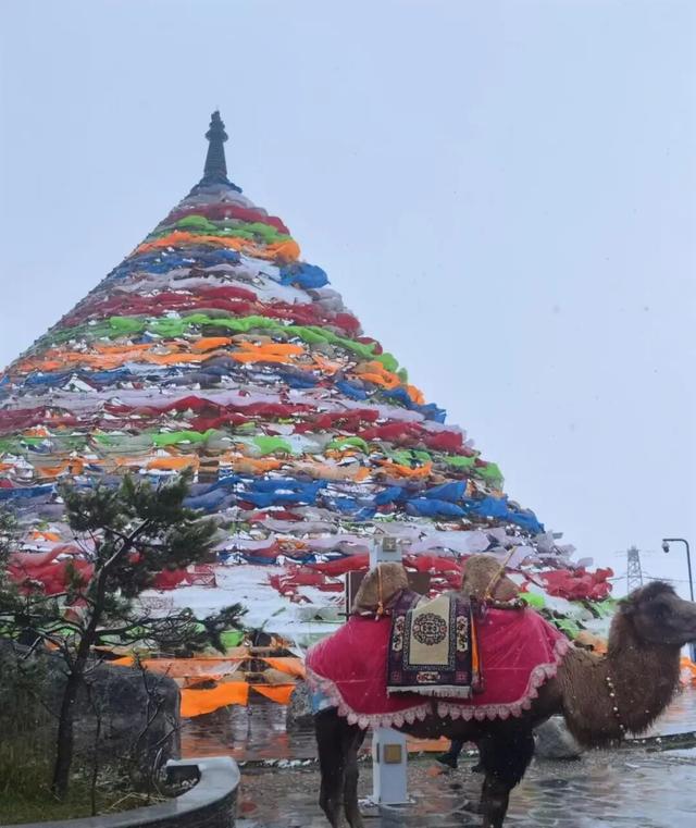 多地突降大雪！重庆开启夏↔️秋“横跳模式”！网友：“急！国庆去重庆该带什么衣服？”