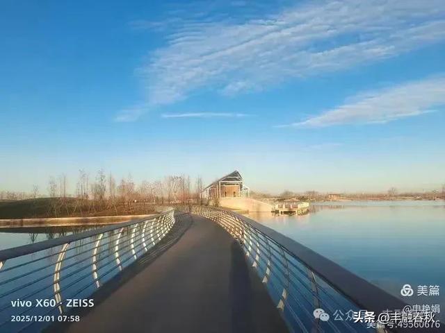 初冬北京朝阳坝河金盏淀：清寒里的静美画卷｜申艳娟