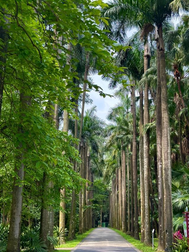 世界上只有中国广州市才有的全球独一无二的10大奇景