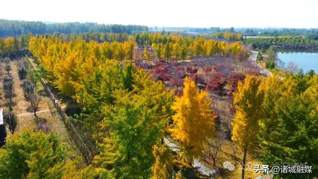 诸城秋浓,如诗如画!