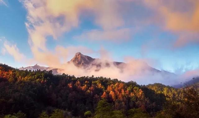 韶关晚秋“神仙景致”：云海、奇峰、秋叶奏响绝美“三重奏”！