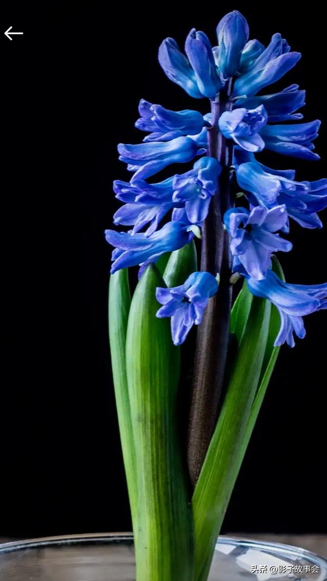 二十万	，是母亲用半生琐碎攒成的给我的底气