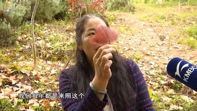 200亩枫海,11月初红艳上线!快来这里赏 “秋日大片”~