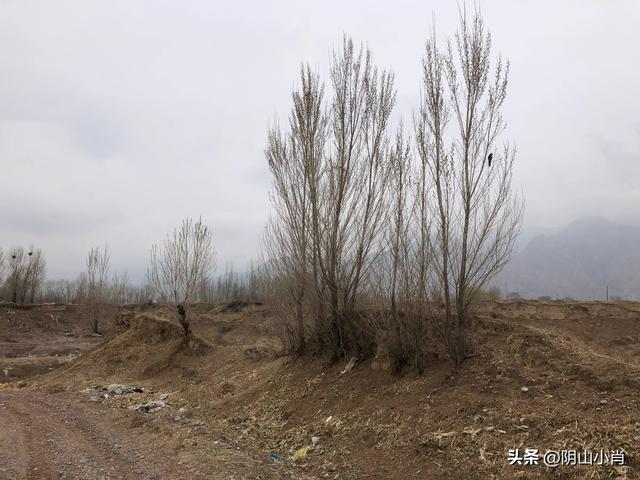 包头市土默特右旗部分文物保护单位考察笔记（下）