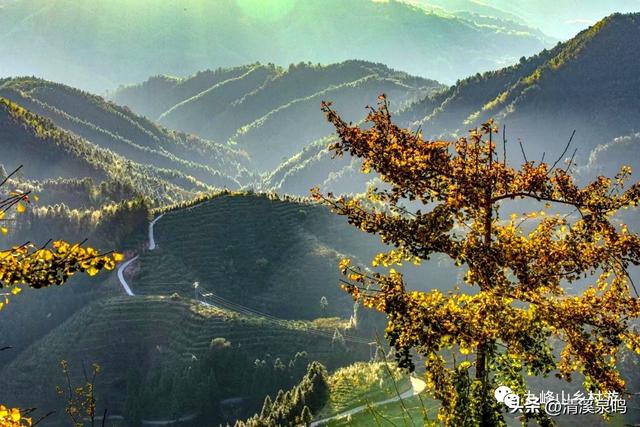 藏在诗行里的秋山“丰”景——品七律《游九峰溪下山村梯田》之感