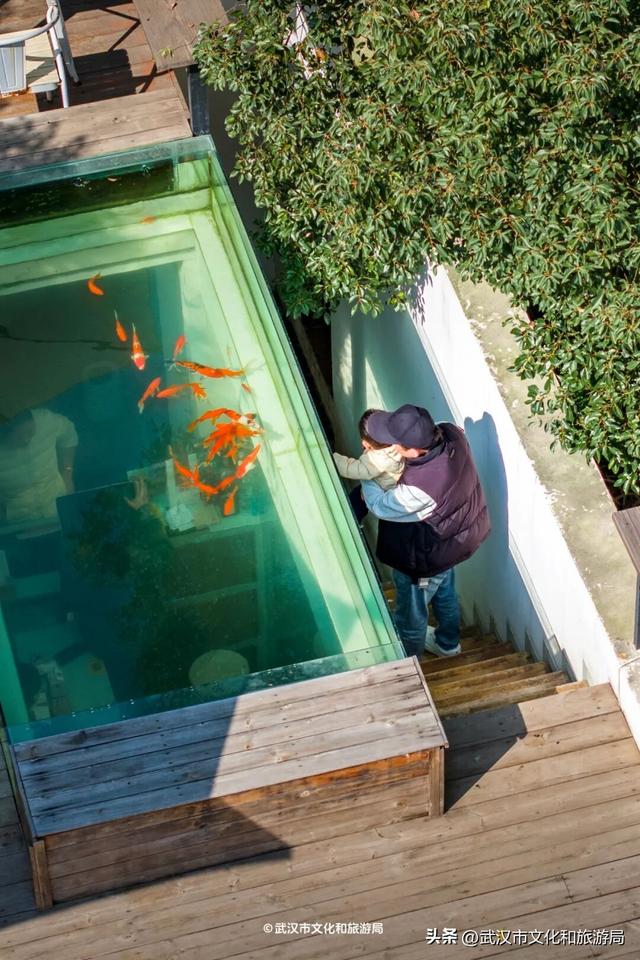 直冲20°C！武汉赏秋天花板，上新3个玩法