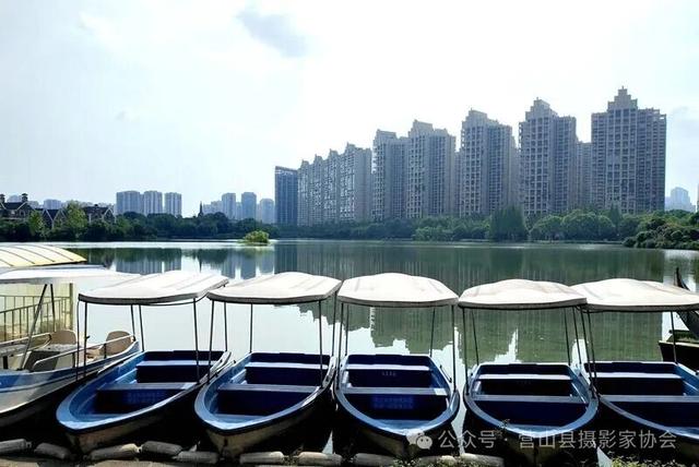 李永辉：水墨画卷——成都南湖公园