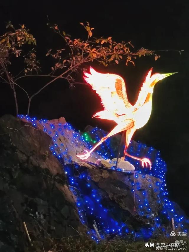 当光影遇上森林,汉中的夏夜如此动人清凉!