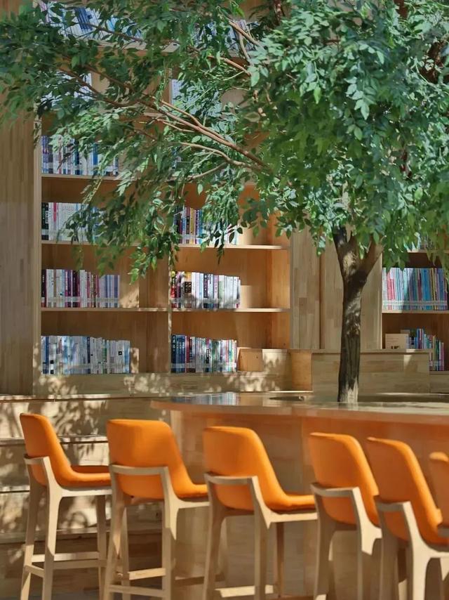 初冬，来森栖小镇给自己放个假！煮茶、读书、民宿，满满都是治愈