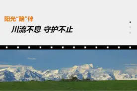 阳光保险：阳光“赔”伴——川流不息，守护不止图片