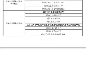 小升初摇号怎么“摇”？一文读懂！图片