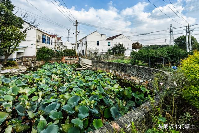 桃源村走马鿍：因位于清太平军养马处的这边而得名的小村庄