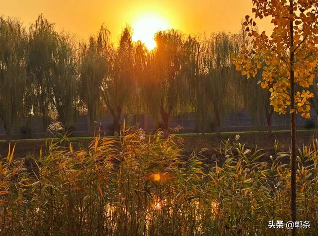 魏县:一卷斑斓 满城诗意