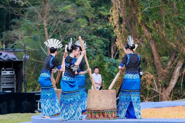 绘就雨林共生新画卷：2025年“雨林与您”体验活动盛大启幕