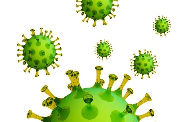 2437名学生感染！病毒已进入高发期，传染性强酒精对它无效