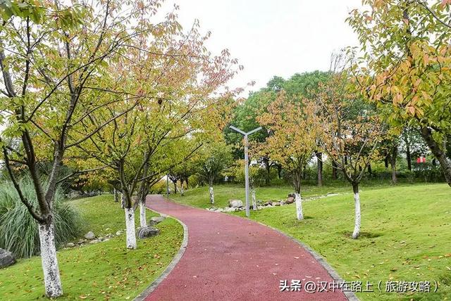 汉中湿地公园的秋已上线，随手拍都是治愈感！