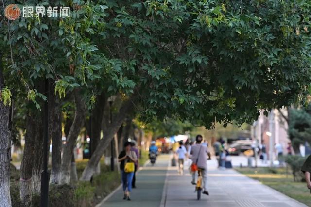 乌鲁木齐“含绿量”爆表了