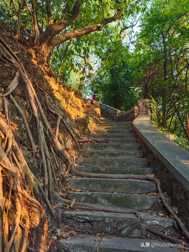 佛山真好逛——锦岩南街与锦岩公园