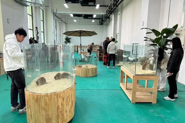 西城国企交出民生新答卷！天恒集团打造中国首家室内“探险·科普·娱乐”综合体验中心“恒探界”