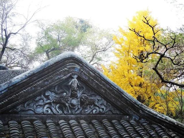 高铁1h！比西安秀美！这座千年古都秋色绝了！高光仅20天！