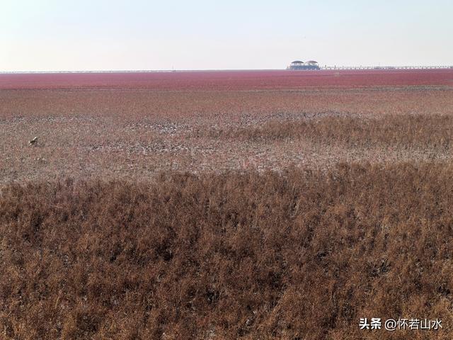 2025辽宁赏秋之旅日记(5)——从本溪前往盘锦 游览红海滩景观