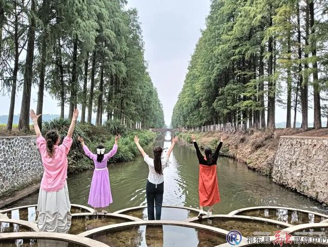 祁东：水杉风景美如画 网红打卡等您来