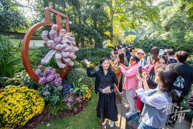 全是人人人人人！一年一度杭州“顶流”人气菊花展登场