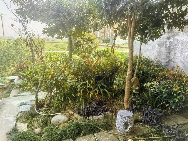 表弟严少军在乡村慢生活中的独特之处值得肯定和推广