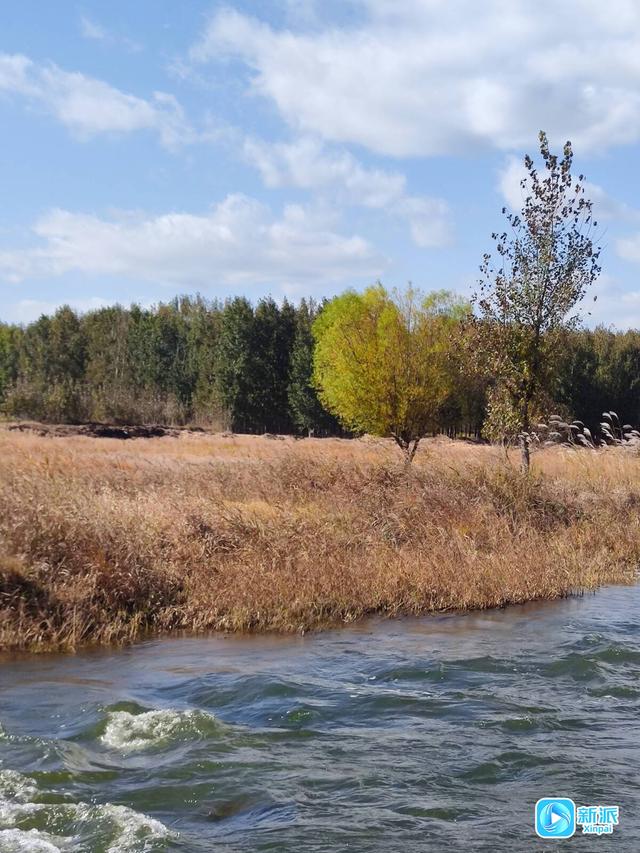 潍坊白浪河畔秋韵浓
