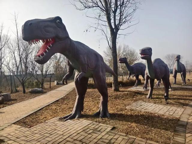 揭秘！诸城服务区为何能成为旅途中的“神秘打卡地”？