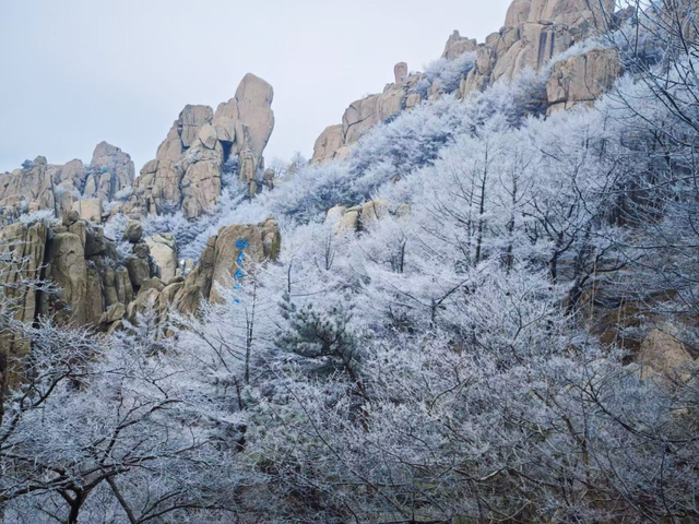 下雪啦！崂山“仙境体验卡”，限时开启