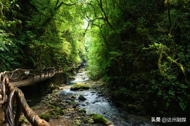 @全国教师，巴山大峡谷教师节免桃溪谷套票福利来啦~
