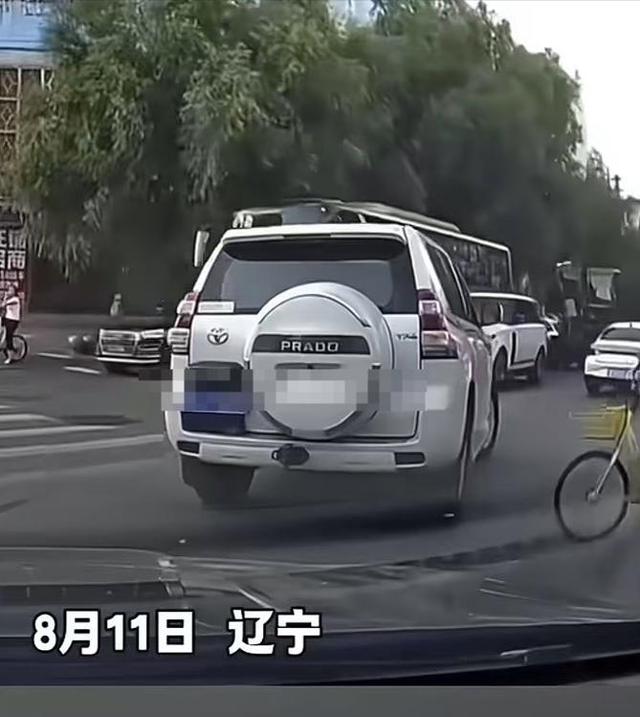 沈阳00后故意撞人后续，猛踩油门下死手，身份曝光，难怪如此嚣张