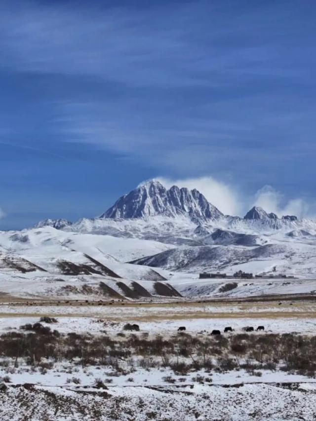 逃离钢铁森林！川西冬季冰雪秘境全攻略，治愈灵魂的终极指南