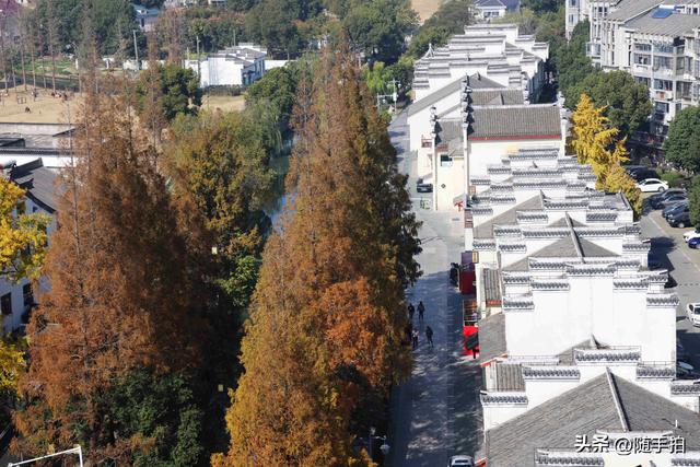 上海：嘉定安亭永安塔俯瞰老街古镇秋色如画