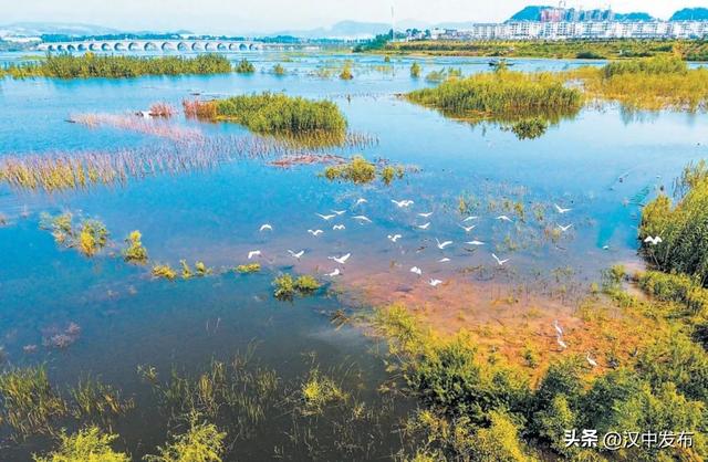 两座城市，一种初心！看汉中十堰如何刚柔治水→