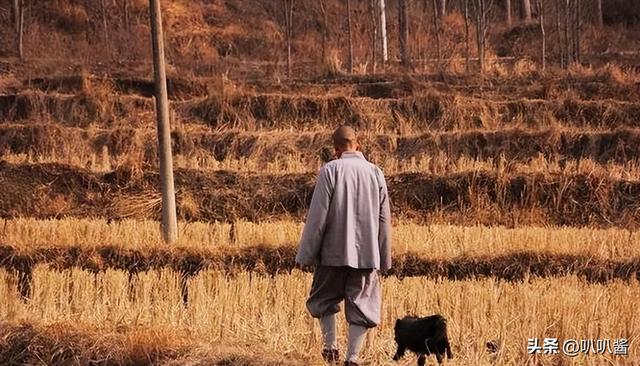 他用八年时间徒步走到拉萨，七步一叩首，7400里，竟磕出“天眼”