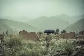 十本末日求生类小说，不圣母，剧情紧凑。书荒必备粮草！图片