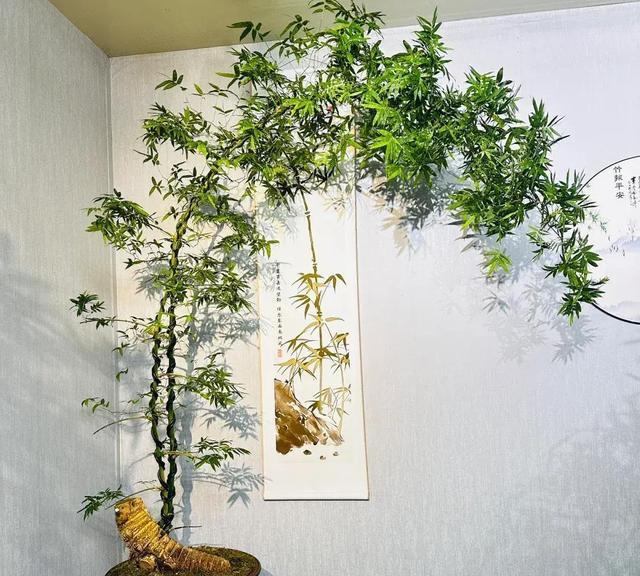 女子晒老公养的花，直呼“好恶心，想扔掉”，网友：扔哪，我去捡