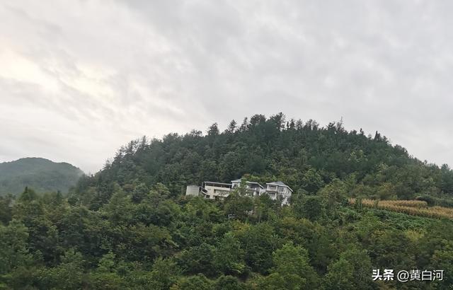 恩施归来，不看山水