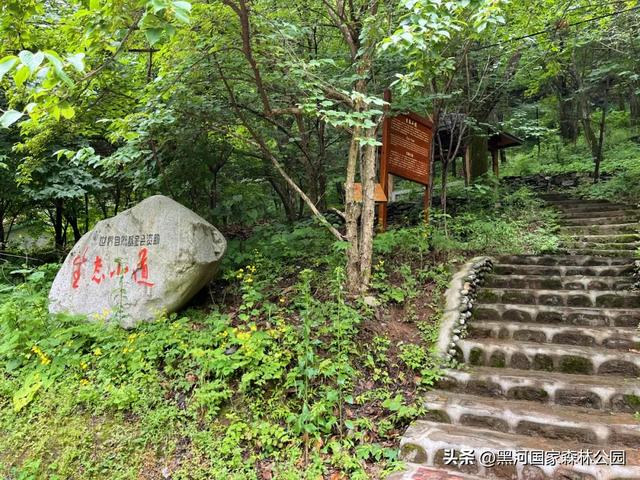 西安山美水美的清凉秘境！夏天来黑河避暑旅游太爽了！