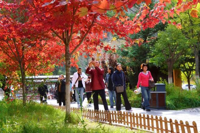 【文明旅游】山西：五台山的秋天，太治愈了！