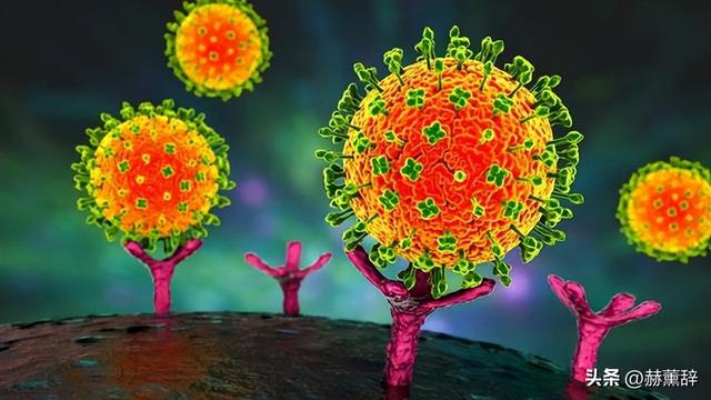 “尼帕病毒	”来势汹汹	，呼吁：每家备好5样东西，关键时刻能救命