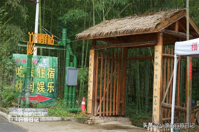西安秦岭深处惊现“绿野仙踪”！这片竹海秘境又美又仙，你去了吗