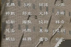 为今年将要出生的男孩挑选的引人注目的宝宝名字分享图片