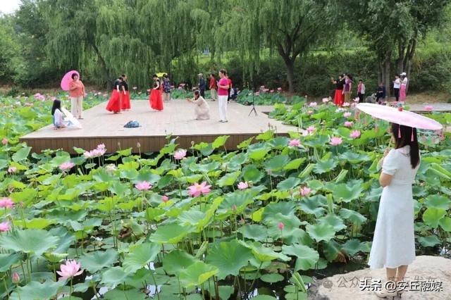 靓了一条河，美了一座城！千年汶河，风景这边独好④