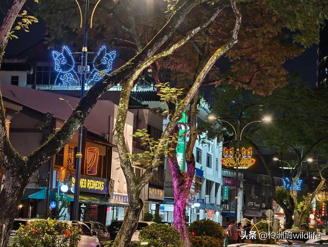 马来西亚(37)砂拉越州⑪告别古晋