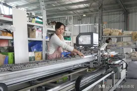 商丘市城乡一体化示范区贾寨镇“一镇多品”“一村一品” 助推“产业兴旺”图片