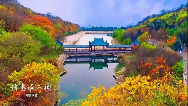【醉美青檀秋色正当时】水彩画卷徐徐展开，只等您来！